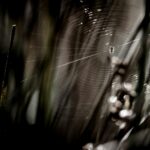 Le Web 3.0 : Décryptage et Opportunités pour les Développeurs